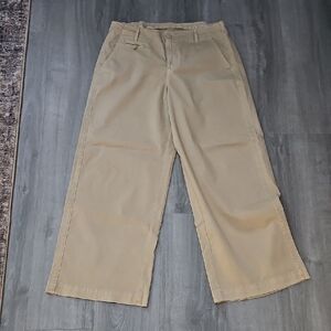 American Eagle Outfitters Wide Leg Khaki Pants